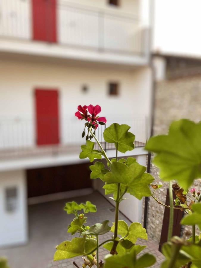 La Volpe Rossa Rooms And Apartments San Felice del Benaco Εξωτερικό φωτογραφία